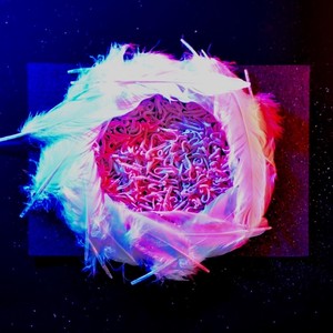 Drivin' in Silence (Explicit)