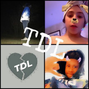 TDL FLOW (Explicit)