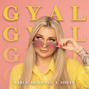 Gyal (feat. Sheyn) (Explicit)