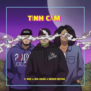 TÌNH CẢM (feat. BIG HEAD & MIXED MIYAGI) (Explicit)