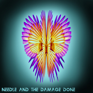 Needle and the Damage Done