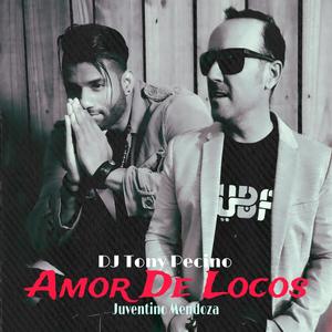 Amor De Locos (Bachata Versión)
