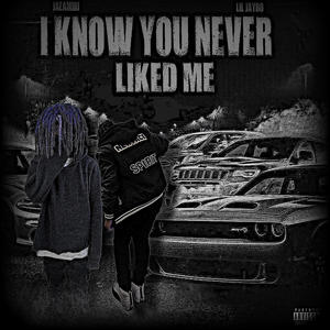 I KNOW YOU NEVER LIKED ME (feat. Jaeamiri) (Explicit)