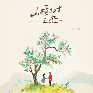 山楂树之恋