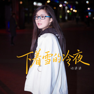 下着雪的冷夜-谈柒柒