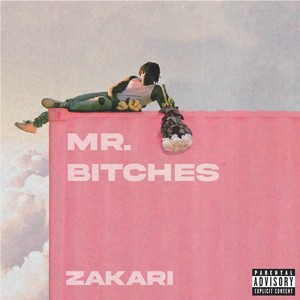 Mr. *****es (Explicit)