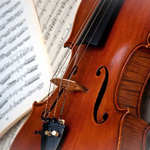 Comforting Symphony Eases into Night