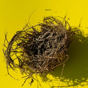 good food (Explicit)