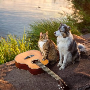 Soothing Waters: Guitar Melodies for Pets