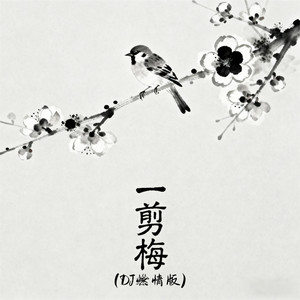 一剪梅 (DJ燃情版)
