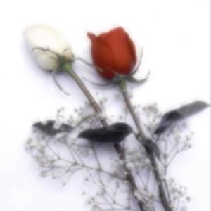 sa pierre tombale (Explicit)