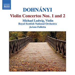 Violin Concerto No. 1 in D Minor, Op. 27 - I. Molto moderato, maestoso e rubato