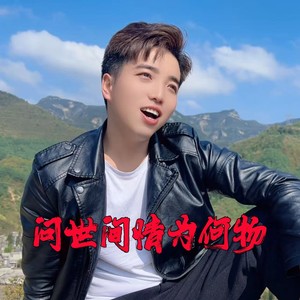 问世间情为何物