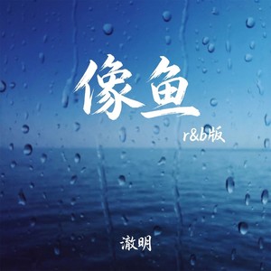 像鱼 (r&b版)封面