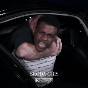Skoda Gris Freestyle #1 (Explicit)