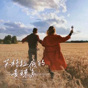 苏格拉底的麦穗岛