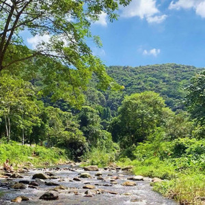 舞台上的钢琴 (钢琴)