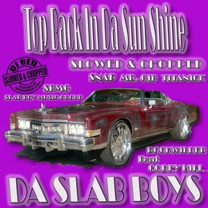 Top Back In Da Sun Shine (Slowed & Chopped) (feat. Corey Hill & DJ Red) [Radio Edit]