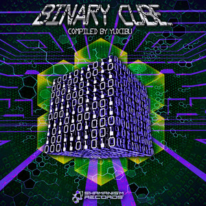 Binary Cube