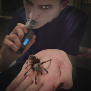 Smoked Spider (Explicit)