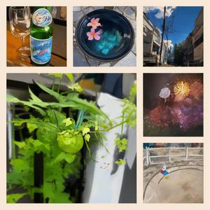 Ghost in the Glass (feat. 雨汰。) (Explicit)