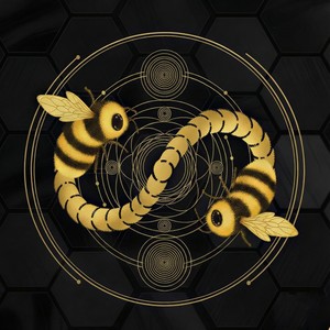 POR UN TOTO NO ME FAJO (Explicit)