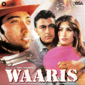 Waaris (Original Motion Picture Soundtrack)