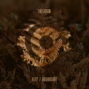 Sugarcoat (Club Mix)