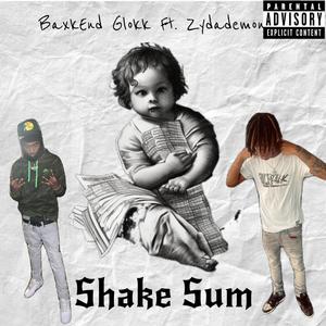 Shake Sum (feat. Zy Da Demon) (Explicit)