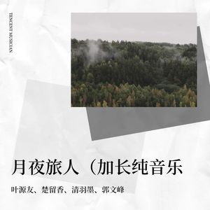 月夜旅人 (加长纯音乐)