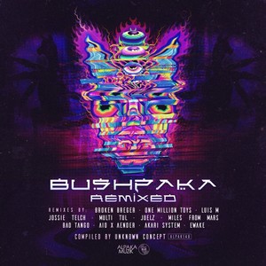 Inaudible Frequencies (Akari System Remix)