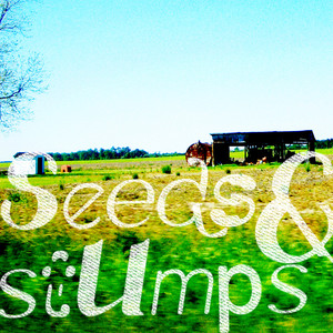 seeds&stumps (Explicit)