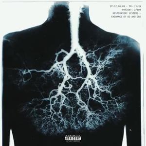 Respiratory (Explicit)