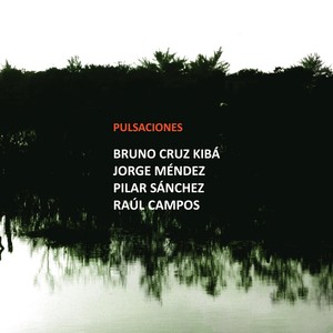 Pulsaciones