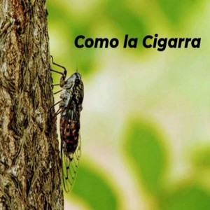 Como la Cigarra