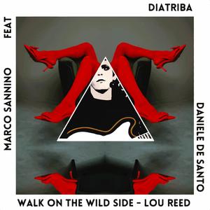 Walk on the wild side (feat. Diatriba & Daniele De Santo) (Special Version)