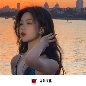 妈妈的话 (DJ版)