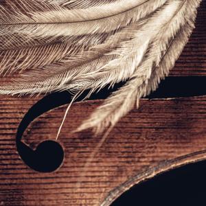 Anywhere But Here (feat. Silo String Quartet)