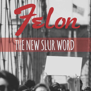 Felon (The New Slur Word)