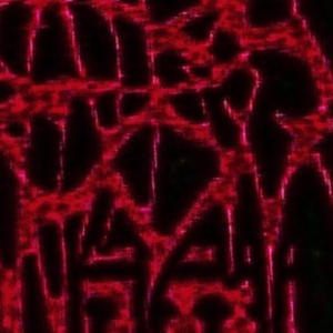 #SPEEDER (SUMMRS & CARTIER GOD)