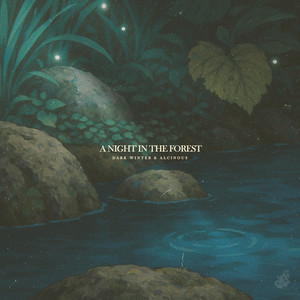 A night in the forest