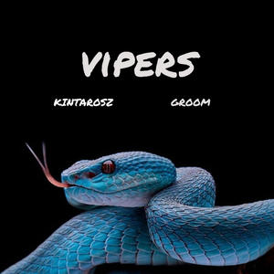 VIPERS (feat. Groom) [Explicit]