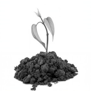 하리네즈미 (Prod.homage)