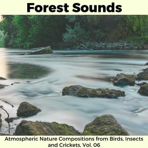 Brisk Desert Wind, Pt 2