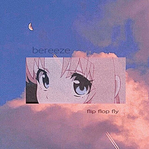 flip flop fly - breeze