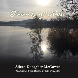 The Kerryman's Daughter & The Bird in the Bush(feat. Seamie O'Dowd, Mary McGowan & Éanna Mulchrone)