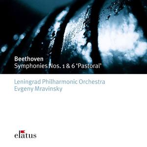 Symphony No. 1 in C Major, Op. 21 : III. Menuetto, Allegro molto e vivace