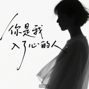 你是我入了心的人