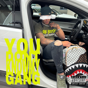 You Don't Know My Gang (Explicit)