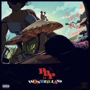 PDP IN WONDERLAND (Explicit)